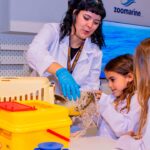 Crianças podem assumir funções ligadas ao resgate de tartarugas marinhas numa nova experiência do Zoomarine na KidZania Lisboa.