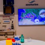 Crianças podem assumir funções ligadas ao resgate de tartarugas marinhas numa nova experiência do Zoomarine na KidZania Lisboa.