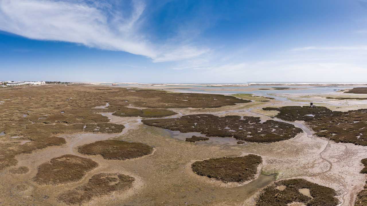 Candidaturas financiam ações na Ria Formosa e na Reserva Natural do Sapal de Castro Marim e Vila Real de Santo António, com execução até 2027.