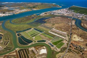 Candidaturas financiam ações na Ria Formosa e na Reserva Natural do Sapal de Castro Marim e Vila Real de Santo António, com execução até 2027.