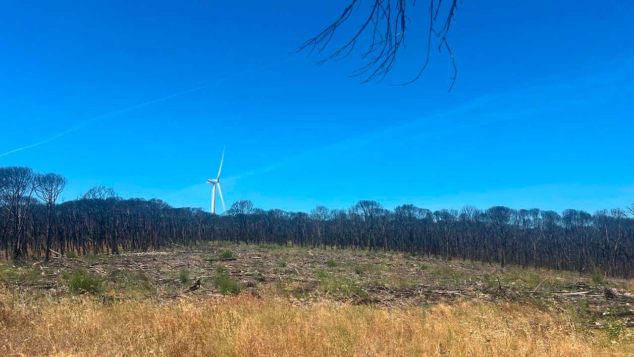 AMAL integra projetos europeus que reforçam a prevenção de incêndios e a resiliência dos territórios.