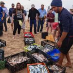 Comunidade da Meia Praia volta a lançar a Arte Xávega numa iniciativa de preservação desta tradição cultural.