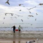 Comunidade da Meia Praia volta a lançar a Arte Xávega numa iniciativa de preservação desta tradição cultural.