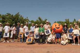 Citrinos do Algarve IGP receberam jornalistas e influenciadores de França, Alemanha e Bélgica numa visita a pomares e a uma central fruteira da região.