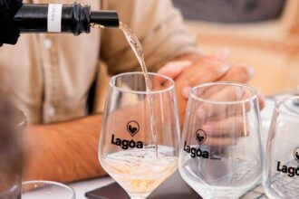 Concurso de Vinhos do Algarve avaliou 119 referências apresentadas por 31 produtores da região.