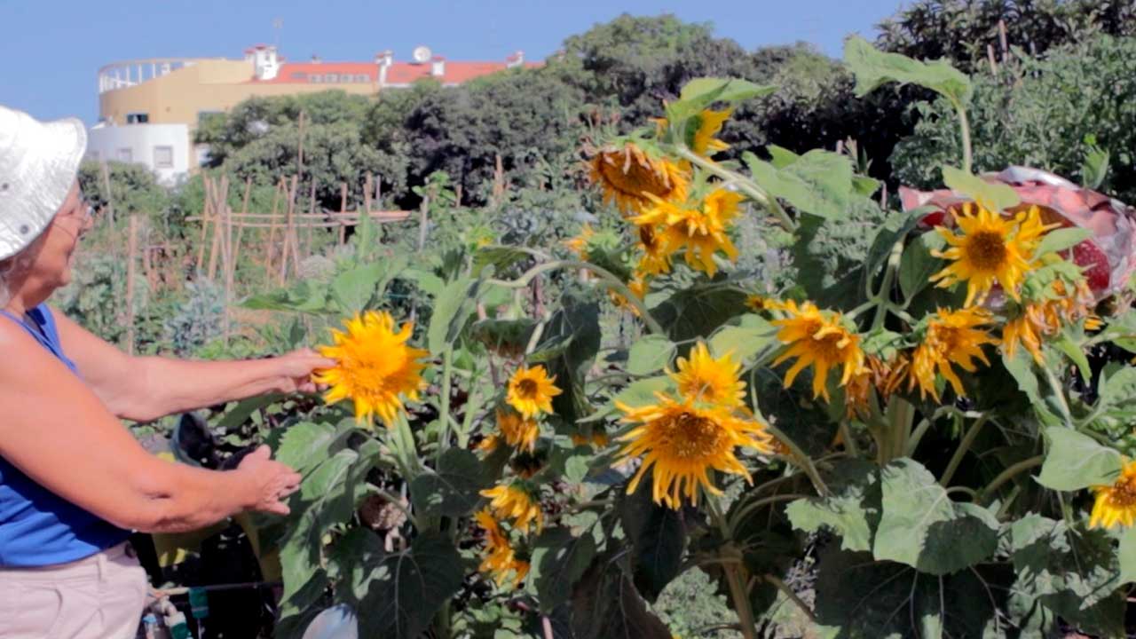 Ecotopia Activa leva ao Festival Ecológita histórias sobre hortas comunitárias e o património agrícola do CEAT.