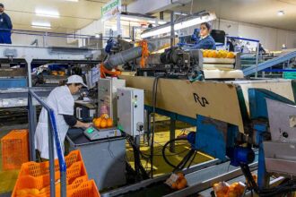 Empresas nacionais temem inflação, energia e ciberataques. Estudo da QSP aponta também para mais incerteza económica.