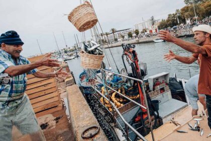 Festival da Sardinha regressa a Portimão com seis noites de concertos e homenagem à tradição piscatória local.