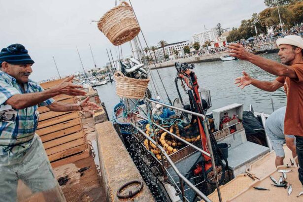 Festival da Sardinha regressa a Portimão com seis noites de concertos e homenagem à tradição piscatória local.