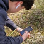 Projeto de monitorização da Flora Algarvensis soma mais de 2400 observações desde 2022/2023 nos sítios geológicos de Albufeira.