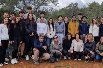 Projeto de monitorização da Flora Algarvensis soma mais de 2400 observações desde 2022/2023 nos sítios geológicos de Albufeira.