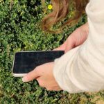 Projeto de monitorização da Flora Algarvensis soma mais de 2400 observações desde 2022/2023 nos sítios geológicos de Albufeira.