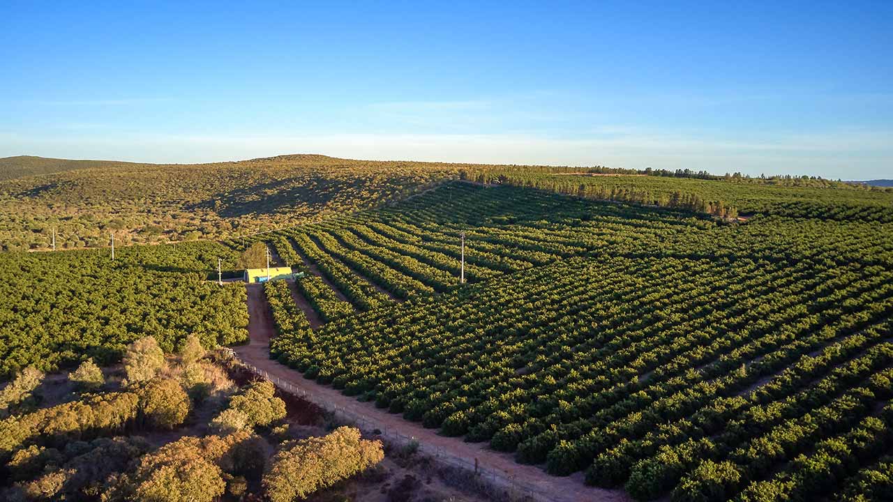 O Geoparque Algarvensis é um projeto «para gerações», defende Artur Sá, que acredita em mudanças concretas no interior do Algarve.