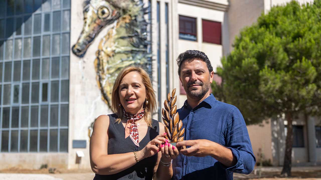 A curta-metragem «Guardiões da Ria Formosa», da UAlg, venceu o prémio de Melhor Animação no Reino Unido.