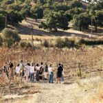 Especialistas reúnem-se em Faro para debater tendências, desafios e oportunidades do turismo cultural e criativo.