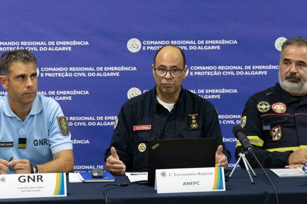 Proteção Civil espera melhoria das condições meteorológicas durante a madrugada para travar o avanço das chamas.