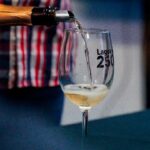 Lagoa Wine Talks juntam especialistas para debater alterações climáticas, solos e sustentabilidade na vitivinicultura.