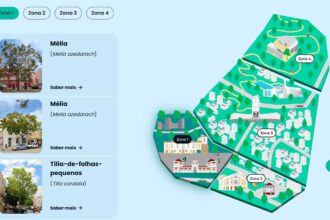 Projeto de Loulé leva uma ferramenta que permite às árvores urbanas «comunicar» com os cidadãos a um festival europeu.
