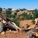 Mestrado em Gestão Sustentável junta ensino a distância e semana de campo em São Brás, com trabalho no terreno.