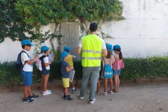 Museu de Tavira propõe oficinas sobre património, jogos e lendas para crianças dos seis aos 12 anos, entre 6 e 10 de julho.