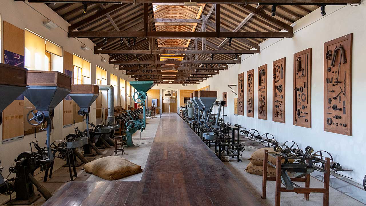 Jorge Custódio e Elsa Lopes, que assumirá a direção do Museu.