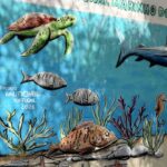 Observação de golfinhos, atividades práticas e um mural marcaram a participação de 200 alunos de Albufeira.
