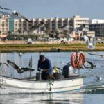 Olhão: Real Marina reforça a ligação à Ria Formosa com novas experiências, gastronomia local e uma estratégia centrada na sustentabilidade.
