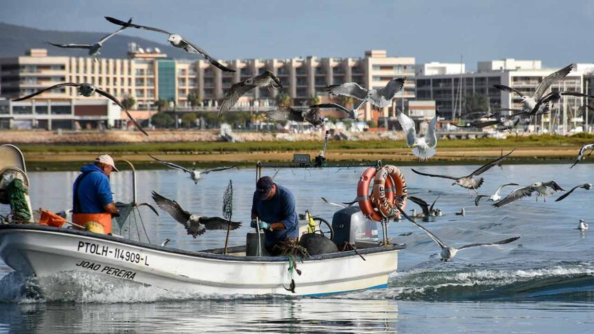 Olhão: Real Marina reforça a ligação à Ria Formosa com novas experiências, gastronomia local e uma estratégia centrada na sustentabilidade.