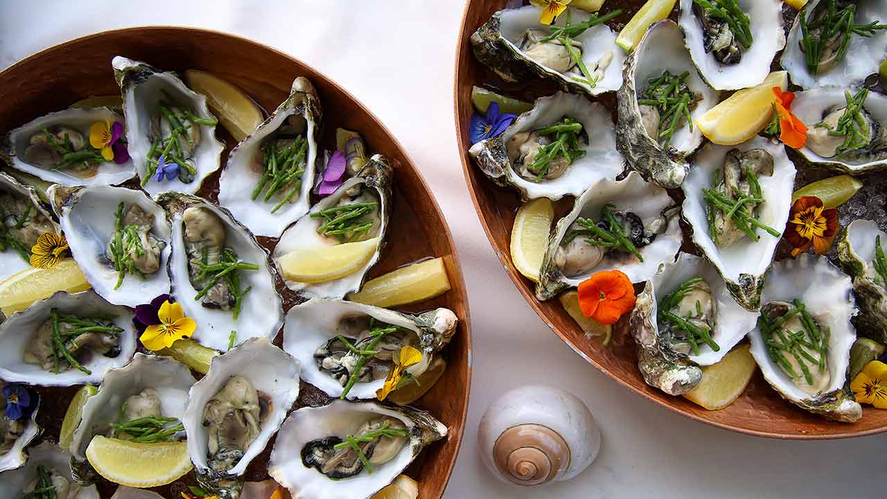 Olhão: Real Marina reforça a ligação à Ria Formosa com novas experiências, gastronomia local e uma estratégia centrada na sustentabilidade.