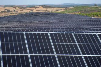 Painéis solares instalados numa vasta área de terreno rural.
