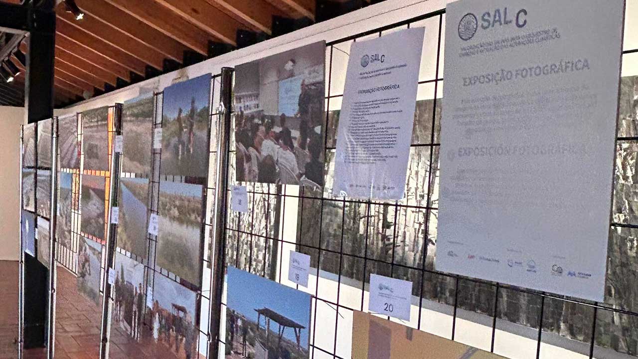 Sal C encerrou investigação sobre carbono azul em salinas de Castro Marim, após três anos de trabalho científico.