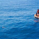 Seis tartarugas-marinhas regressaram ao oceano após meses de recuperação no Porto d’Abrigo do Zoomarine Algarve.