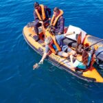 Seis tartarugas-marinhas regressaram ao oceano após meses de recuperação no Porto d’Abrigo do Zoomarine Algarve.