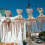 Defeso do polvo no Algarve fica suspenso em 2026 após meses de mau tempo causarem prejuízos significativos à frota pesqueira.
