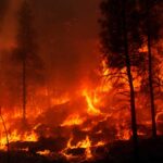 Seminário reúne especialistas para debater a prevenção do risco de incêndio rural.