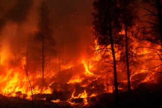 Seminário reúne especialistas para debater a prevenção do risco de incêndio rural.