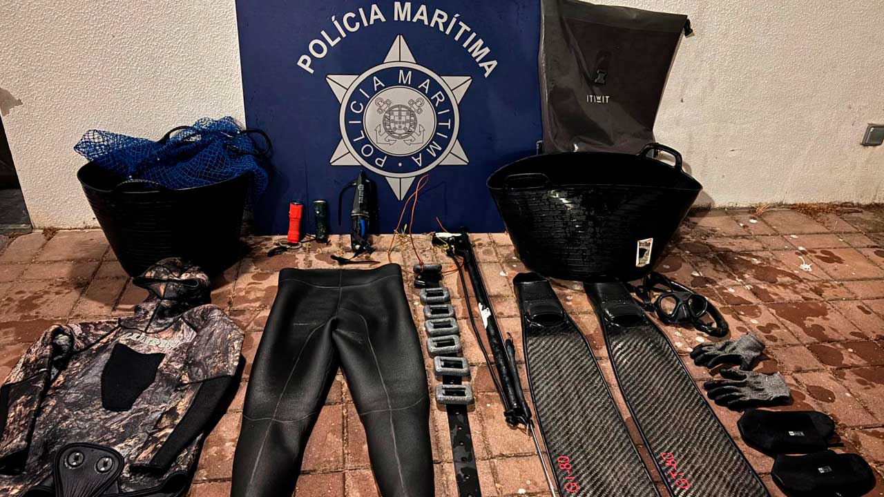 Fiscalização permitiu apreender pescado, marisco e material utilizado numa ação de pesca submarina ilegal.