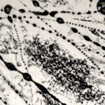 «Atrito Nulo» reúne três jovens artistas formadas pela Universidade do Algarve e propõe uma reflexão sobre o consumo contínuo de informação.