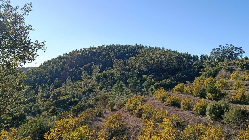 Castelo da Nave entra em estudo arqueológico para avaliar a fortificação islâmica e a possível ligação ao antigo castellum de Munchite, referido em 1189.