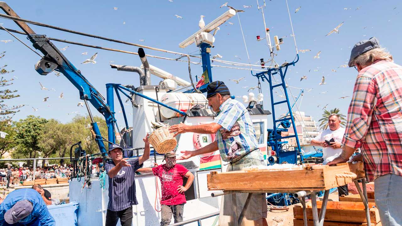 Recriação da Descarga da Sardinha em Portimão regressa com 80 figurantes, 600 quilos de peixe e 3.000 senhas para degustação gratuita.