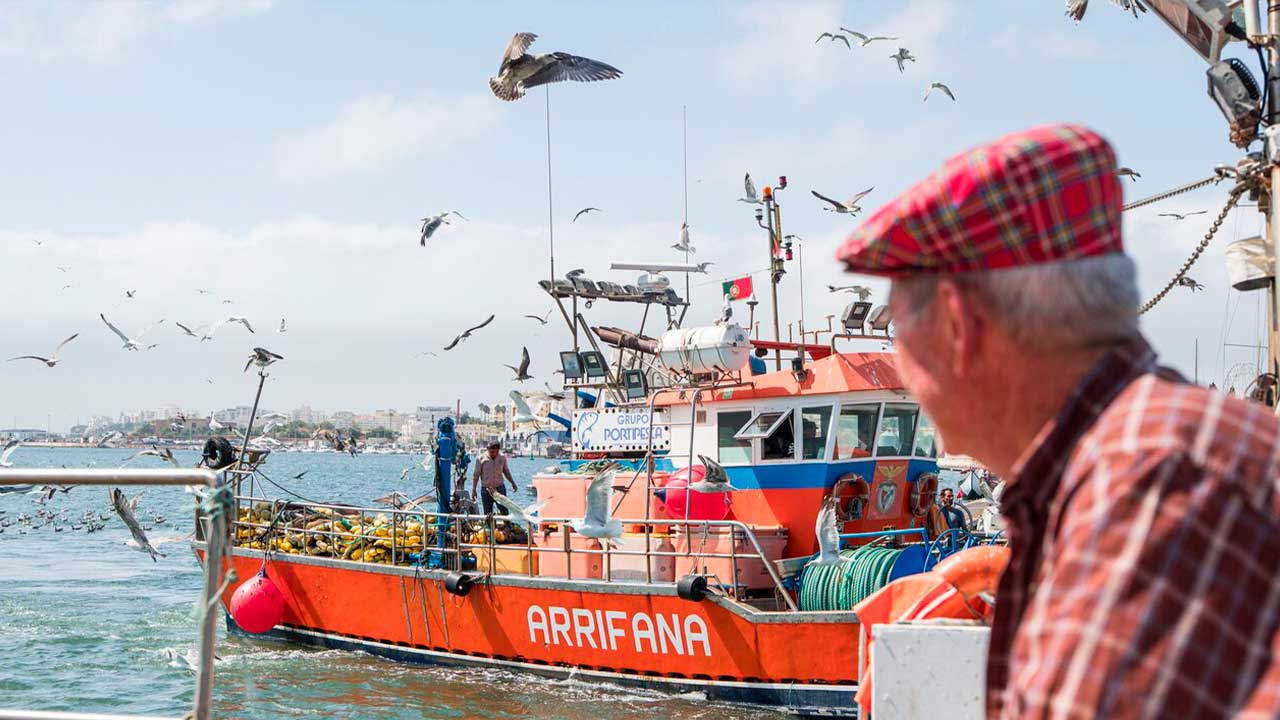 Recriação da Descarga da Sardinha em Portimão regressa com 80 figurantes, 600 quilos de peixe e 3.000 senhas para degustação gratuita.