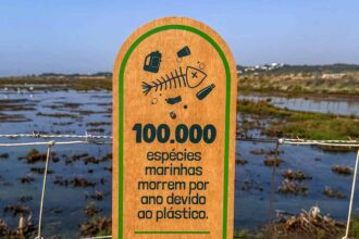 A EMARP reforçou a sensibilização ambiental na Quinta da Rocha com nova sinalética, ecopontos e uma área de descanso para os visitantes.