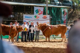 FACECO regressa a São Teotónio com 260 expositores, 280 animais e a estreia do 1.º Concurso Nacional da Cabra Charnequeira.