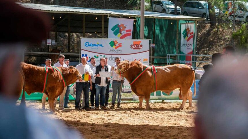 FACECO regressa a São Teotónio com 260 expositores, 280 animais e a estreia do 1.º Concurso Nacional da Cabra Charnequeira.