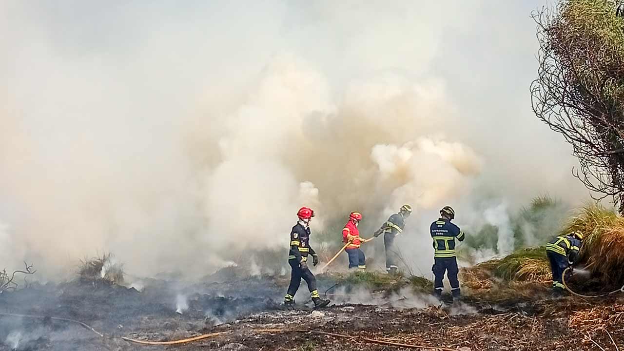 O fogo mobilizou 24 operacionais e oito veículos.
