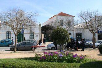 UAlg abre em Portimão um CTeSP em Marketing Digital com 25 vagas e 34 entidades parceiras para a realização de estágios curriculares.