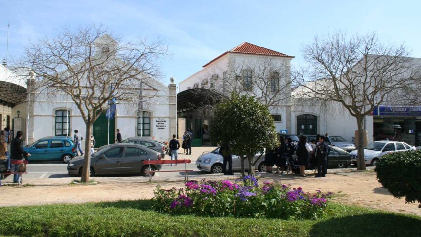 UAlg abre em Portimão um CTeSP em Marketing Digital com 25 vagas e 34 entidades parceiras para a realização de estágios curriculares.