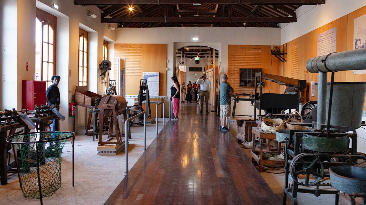 Museu da Cortiça da Fábrica do Inglês recebeu mais de 250 visitantes numa iniciativa de portas abertas que juntou património, música e produtores locais.
