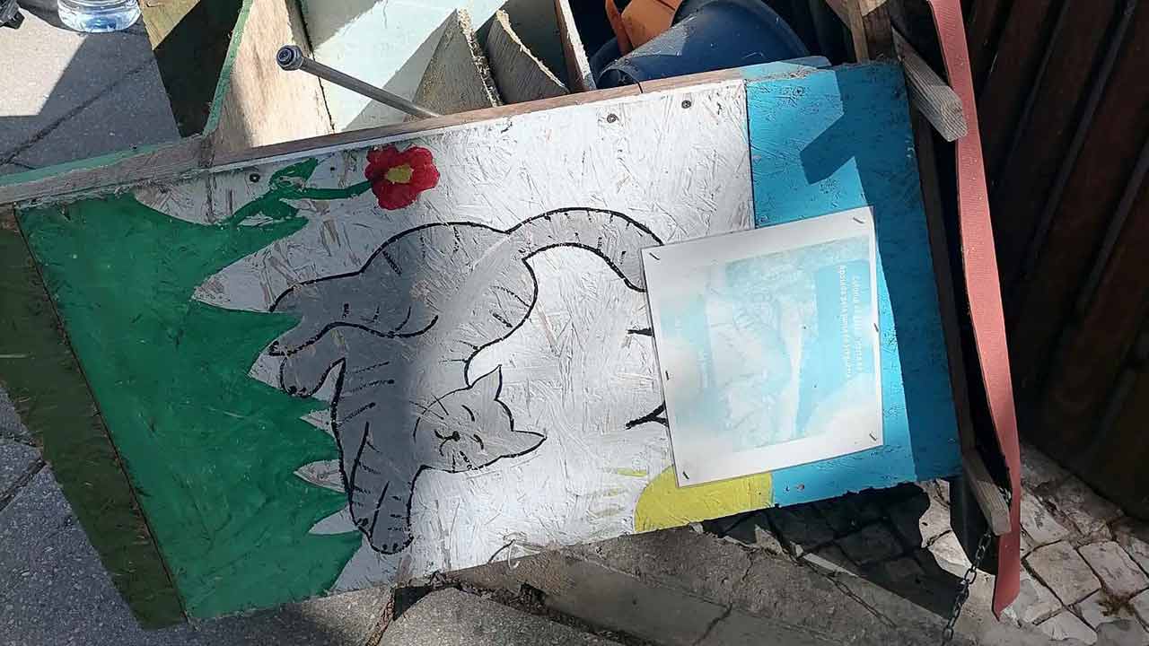 Alegada destruição da casota da Horta do Pádua.