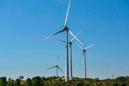 Zonas de aceleração de renováveis incluem áreas do lince-ibérico e corredores migratórios, com riscos para a biodiversidade no Algarve, alerta a PPSBAA.